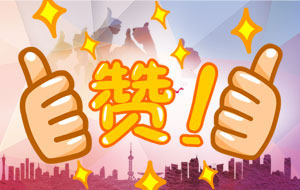 客戶盛贊：“你們的服務(wù)態(tài)度真是行業(yè)******！”
